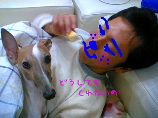 07011102.jpg