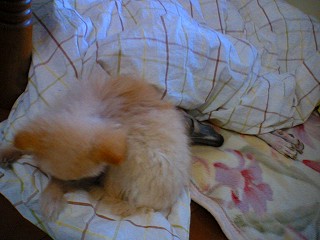 07020302.jpg
