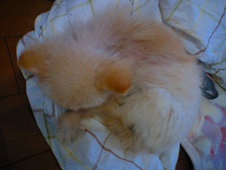 07020303.jpg