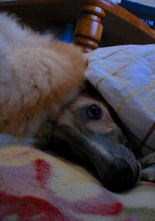 07020304.jpg