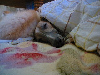 07020305.jpg