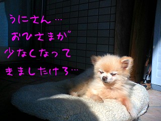 07020401.jpg