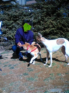 07020405.jpg