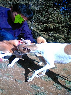 07020408.jpg