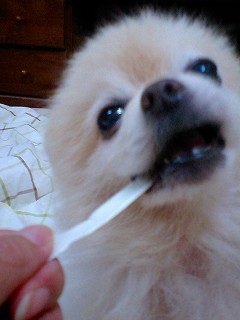 07020702.jpg