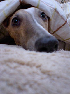 07020802.jpg