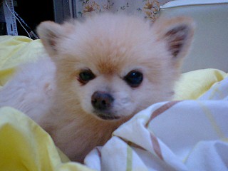 07020803.jpg