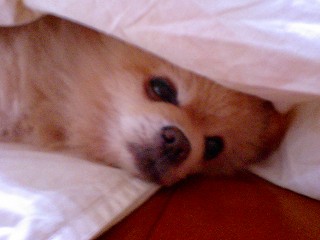 07020903.jpg