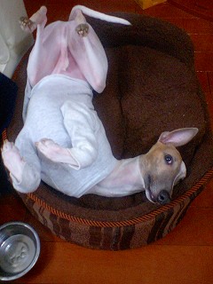 07020905.jpg