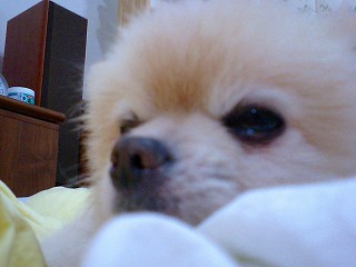 07021006.jpg