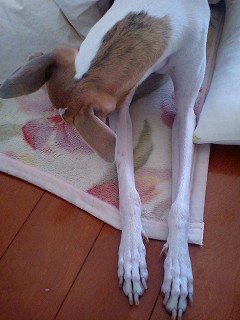 07021203.jpg