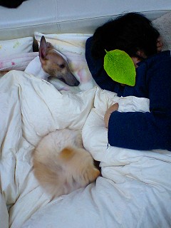 07021302.jpg