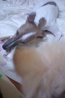 07022202.jpg