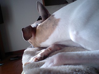 07022405.jpg
