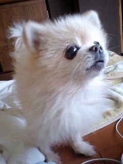 07022406.jpg