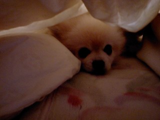 07030203.jpg
