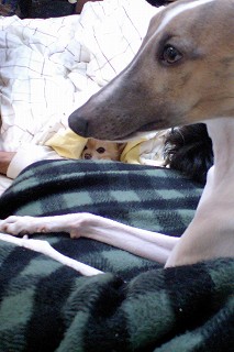 07030302.jpg