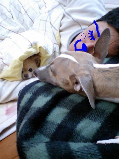 07030304.jpg