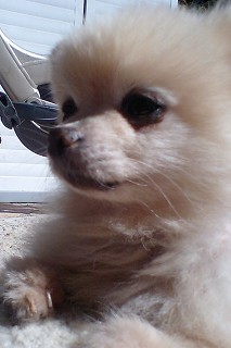 07030807.jpg