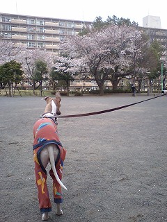 07033104.jpg