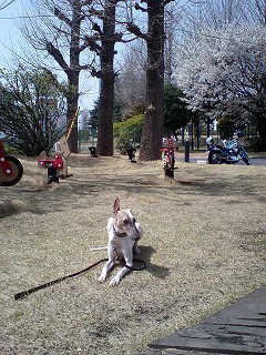 07040102.jpg