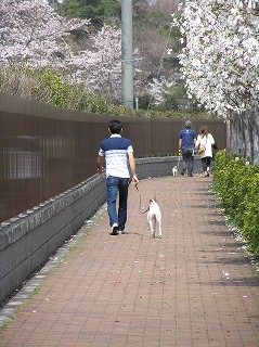 07040105.jpg