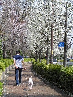 07040106.jpg