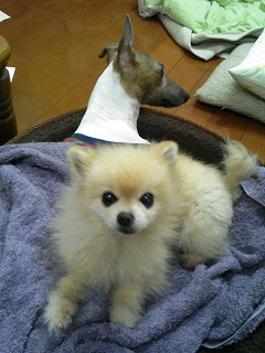 07040502.jpg