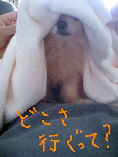 07040801.jpg