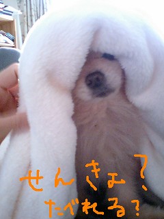 07040802.jpg