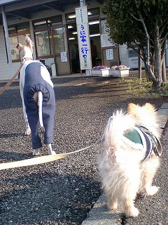 07040803.jpg