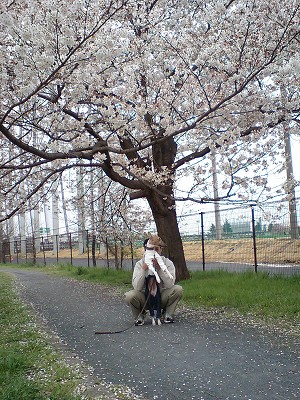 07040806.jpg