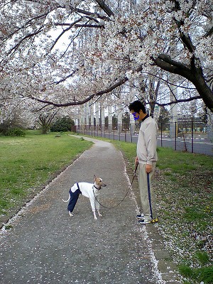 07040808.jpg