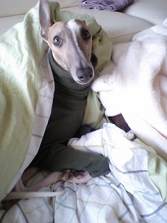 07041103.jpg