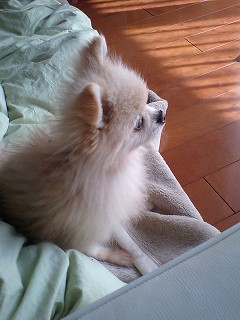 07041205.jpg