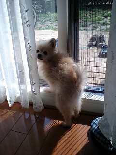 07041206.jpg