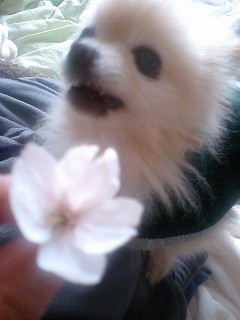 07041301.jpg