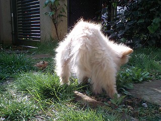 07041404.jpg