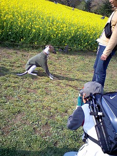 07041507.jpg