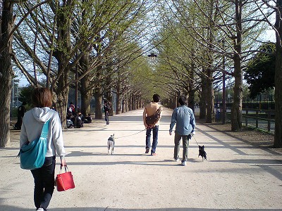 07041513.jpg