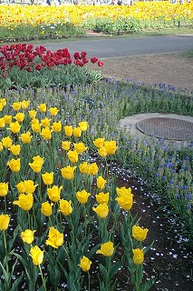 070415f02.jpg