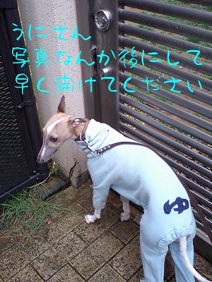07041902.jpg