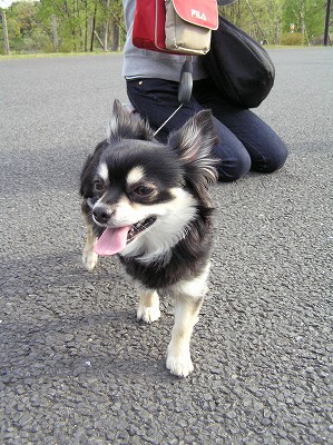 07042102-2.jpg
