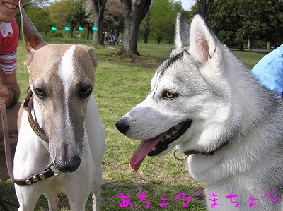 07042104-2.jpg
