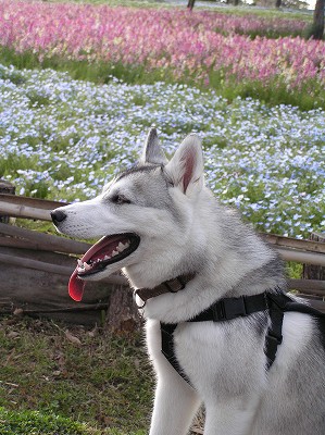 07042106-3.jpg