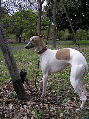 07042107-1.jpg