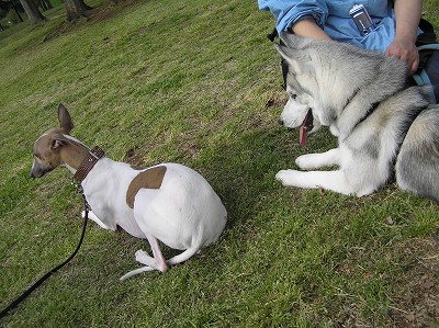 07042107-2.jpg