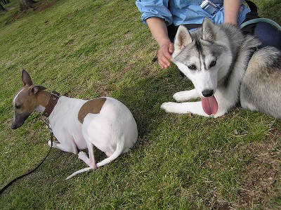 07042108-2.jpg