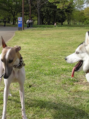 07042110-2.jpg