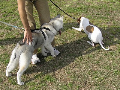 07042111-2.jpg